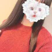 ヒメ日記 2026/02/11 13:57 投稿 かれん 秋葉原鑑賞ガール