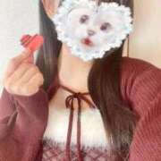 ヒメ日記 2026/02/14 14:37 投稿 かれん 秋葉原鑑賞ガール