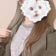 ヒメ日記 2026/02/17 18:07 投稿 かれん 秋葉原鑑賞ガール