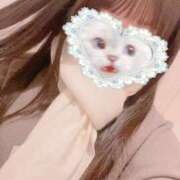 ヒメ日記 2026/02/25 12:43 投稿 かれん 秋葉原鑑賞ガール