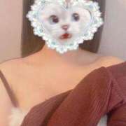 ヒメ日記 2026/03/02 08:27 投稿 かれん 秋葉原鑑賞ガール