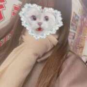 ヒメ日記 2026/03/05 19:04 投稿 かれん 秋葉原鑑賞ガール