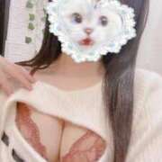 ヒメ日記 2026/04/13 20:07 投稿 かれん 秋葉原鑑賞ガール