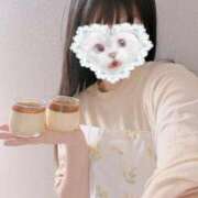 ヒメ日記 2026/04/19 22:37 投稿 かれん 秋葉原鑑賞ガール