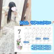 ヒメ日記 2026/07/13 18:07 投稿 かれん 秋葉原鑑賞ガール