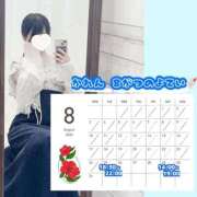 ヒメ日記 2026/08/25 19:17 投稿 かれん 秋葉原鑑賞ガール