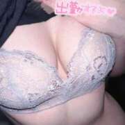 こむぎ はじめまして🌸 太田人妻城