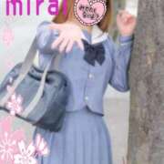 ヒメ日記 2025/11/24 15:16 投稿 みらい パンチラJK