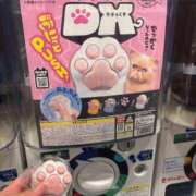 ヒメ日記 2025/12/17 17:36 投稿 かのん しゃんぜりぜ