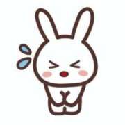 よる 本日はお休みをいただいてます。 ぷるるん小町日本橋店