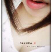 ヒメ日記 2025/11/26 14:18 投稿 小泉さくら 五十路マダムエクスプレス横浜店（カサブランカグループ）