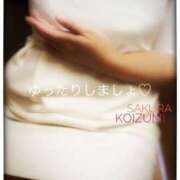 ヒメ日記 2025/11/28 13:42 投稿 小泉さくら 五十路マダムエクスプレス横浜店（カサブランカグループ）