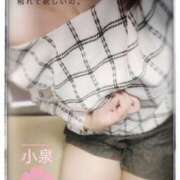 小泉さくら 泣き虫だもん。 五十路マダムエクスプレス横浜店（カサブランカグループ）