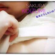 小泉さくら 良いお天気だよ〜 五十路マダムエクスプレス横浜店（カサブランカグループ）