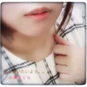 ヒメ日記 2025/12/18 12:30 投稿 小泉さくら 五十路マダムエクスプレス横浜店（カサブランカグループ）