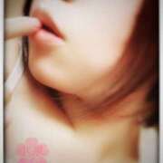 ヒメ日記 2025/12/26 10:56 投稿 小泉さくら 五十路マダムエクスプレス横浜店（カサブランカグループ）