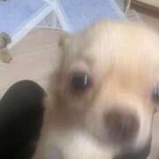 芹沢せいな こんにちは✊🏻‪ ̖́-‬ セレブショップ新宿（東京ハレ系）