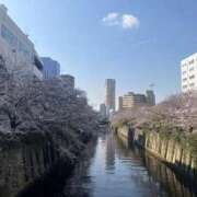 ヒメ日記 2026/03/31 19:50 投稿 渚てん やみつきエステ錦糸町店