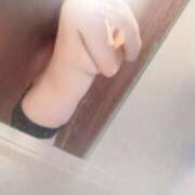 ヒメ日記 2026/02/17 12:07 投稿 上田　りお 東京ローズマリー