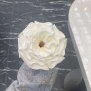 ヒメ日記 2026/01/15 19:29 投稿 恵理奈(えりな) 麗しい人妻 新宿本店