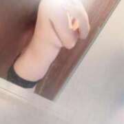 ヒメ日記 2026/02/17 12:14 投稿 上田 ローズマリー大塚