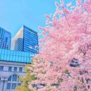 ヒメ日記 2026/03/31 09:07 投稿 なぎ スッキリ！！日本橋店