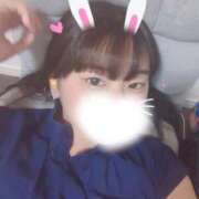 ヒメ日記 2025/11/30 16:23 投稿 めい【エロに完全服従】 STELLA TOKYO－ステラトウキョウ－