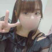 ヒメ日記 2025/12/11 17:05 投稿 めい【エロに完全服従】 STELLA TOKYO－ステラトウキョウ－