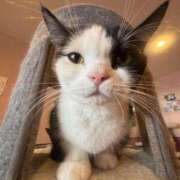 ヒメ日記 2025/11/25 20:13 投稿 つき アニバーサリー