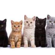 ヒメ日記 2025/11/28 15:57 投稿 のえる ヴェルファーレーVELFARREー鹿児島