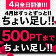 ヒメ日記 2026/04/04 16:12 投稿 しいな 丸妻 横浜本店
