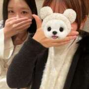 マリカ 16:00〜🈳 ニューハーフヘルス シーメールレジェンド 横浜店