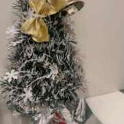 ヒメ日記 2025/11/25 13:44 投稿 のの 熊本グラマーグラマー