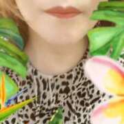 ヒメ日記 2025/11/26 12:28 投稿 鳴美（なるみ） 丸妻 錦糸町店