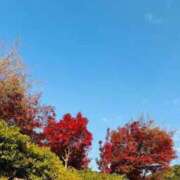 ヒメ日記 2025/12/02 22:51 投稿 三嶋(みしま) 熟女出逢い会 『百合の園』 五反田店