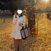 ヒメ日記 2025/11/30 19:29 投稿 花園 さあや ライオンズクラブ