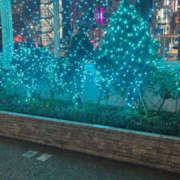 ヒメ日記 2025/12/07 07:30 投稿 なち 上野ハンドメイド