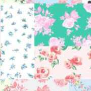 ヒメ日記 2025/12/04 07:17 投稿 星見 もも プルプルオフィスディーバ