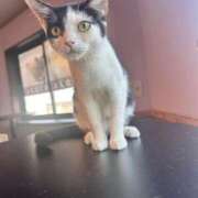 ヒメ日記 2026/01/13 08:56 投稿 星見 もも プルプルオフィスディーバ