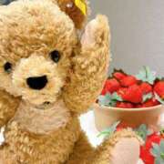 ヒメ日記 2025/11/29 17:53 投稿 くるみ ニューグランド