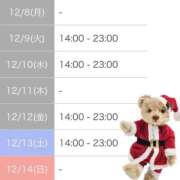 ヒメ日記 2025/12/08 00:03 投稿 くるみ ニューグランド