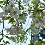 ヒメ日記 2026/04/06 09:13 投稿 くるみ ニューグランド