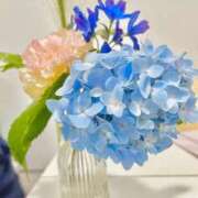 ヒメ日記 2026/06/22 10:33 投稿 くるみ ニューグランド