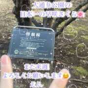 ヒメ日記 2026/02/18 22:11 投稿 えん 横浜ミセスアロマ（ユメオト）