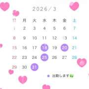 ヒメ日記 2026/02/19 19:00 投稿 えん 横浜ミセスアロマ（ユメオト）