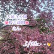 ヒメ日記 2026/03/01 22:51 投稿 えん 横浜ミセスアロマ（ユメオト）