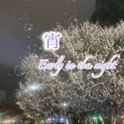 ヒメ日記 2026/03/18 23:29 投稿 えん 横浜ミセスアロマ（ユメオト）