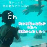 ヒメ日記 2026/09/09 12:01 投稿 えん 横浜ミセスアロマ（ユメオト）
