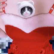 ヒメ日記 2025/12/11 18:37 投稿 てお いざ候 本館