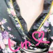 ヒメ日記 2025/12/22 17:57 投稿 てお いざ候 本館